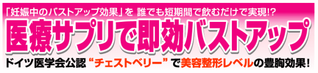�`�F�X�g�x���[E�����ʔ�